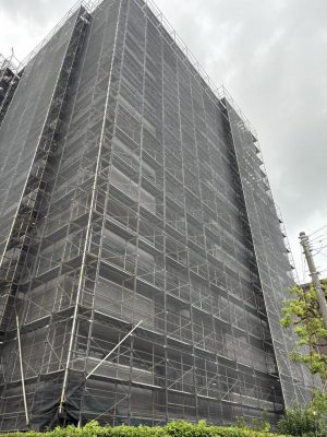 image1.jpeg